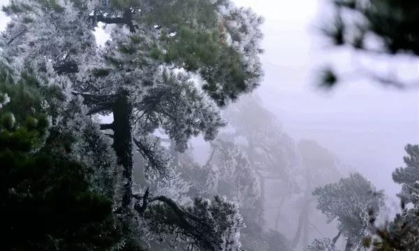 浪漫衣裙